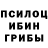 Псилоцибиновые грибы мицелий Spencer Berg