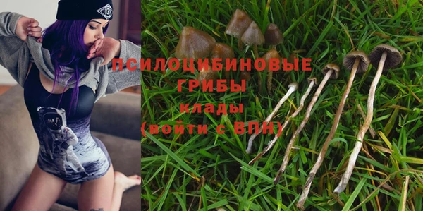 ешки Алексин