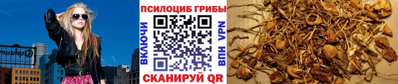 где купить наркоту Стародуб Псилоцибиновые грибы мухоморы