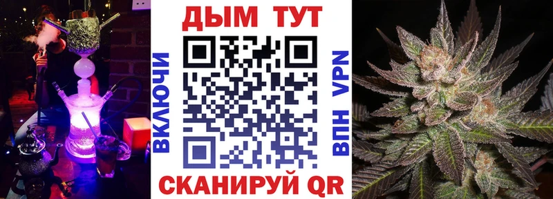 Бошки Шишки VHQ  Стародуб 